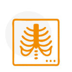 Symbolbild für digitale Röntgendiagnostik der Knochenstruktur